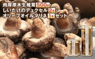 肉厚原木生椎茸 500g・しいたけのデュクセル 2本・オリーブオイルマリネ 1本 セット