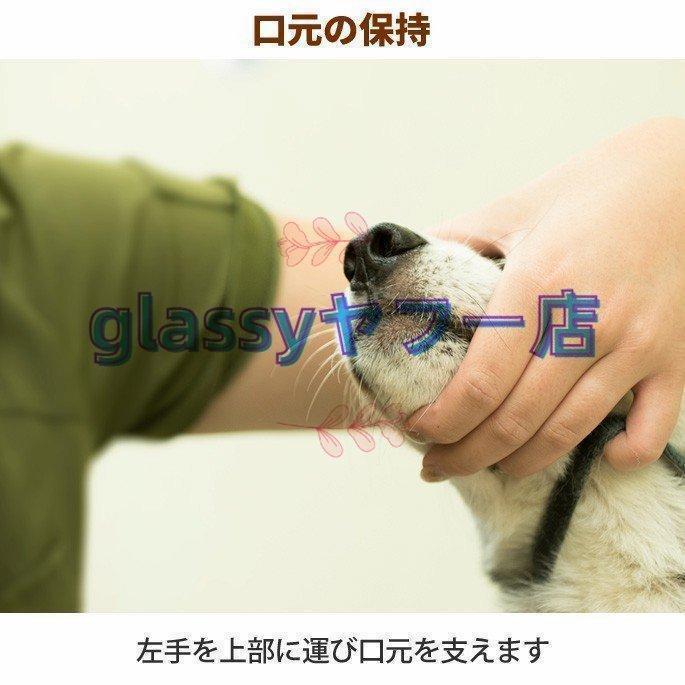 愛犬・愛猫用 歯石取り ペンチ 犬 歯石 デンタルケア ホームケア 猫 プロも愛用