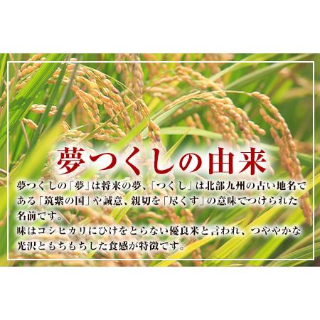 ふるさと納税 令和4年産 福岡県産 夢つくし 無洗米 15kg 5kg×3袋 株式会社オカベイ《30日以内に順次出荷(土日祝除く)》米 コメ ゆめつくし .. 福岡県鞍手町