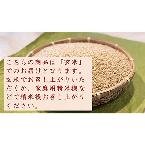 サキホコレ 5年産 特別栽培米 化学肥料９割減 秋田県おばこ産 (2kg, 玄米)