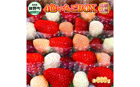 ≪農園直送≫ 高級品種4色いちご BOX 計600g程度 いちご イチゴ 苺