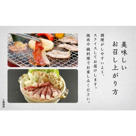 ふるさと納税 石川県 小松市 イノシシ肉 食べ比べセット（バラ　モモ　ウデ） 合計560g