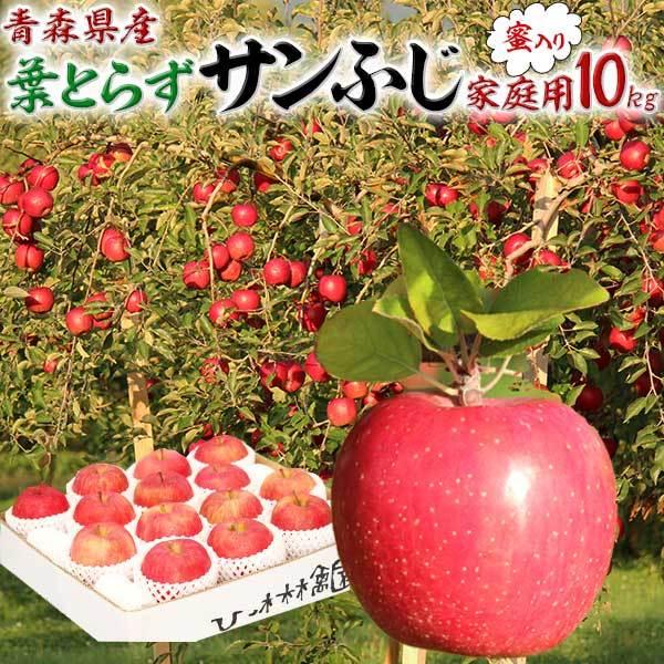 りんご サンふじ 家庭用 蜜入りりんご 葉とらずサンふじ 林檎 10kg  お取り寄せ 果物 フルーツ デザート リンゴ 青森県産 送料無料　お歳暮