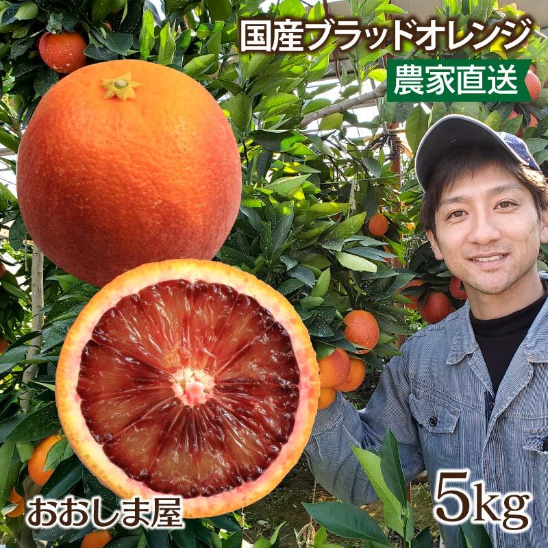 ブラッドオレンジ モロ種 送料無料 国産 熊本 5kg 大小混合 ＜2024年2月下旬より出荷予定＞ みかん 柑橘 フルーツ 果物