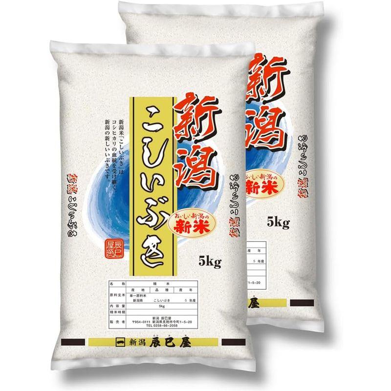 精米 新米 新潟県産 こしいぶき 10kg (5kg×2袋) 白米 新潟辰巳屋 令和5年産