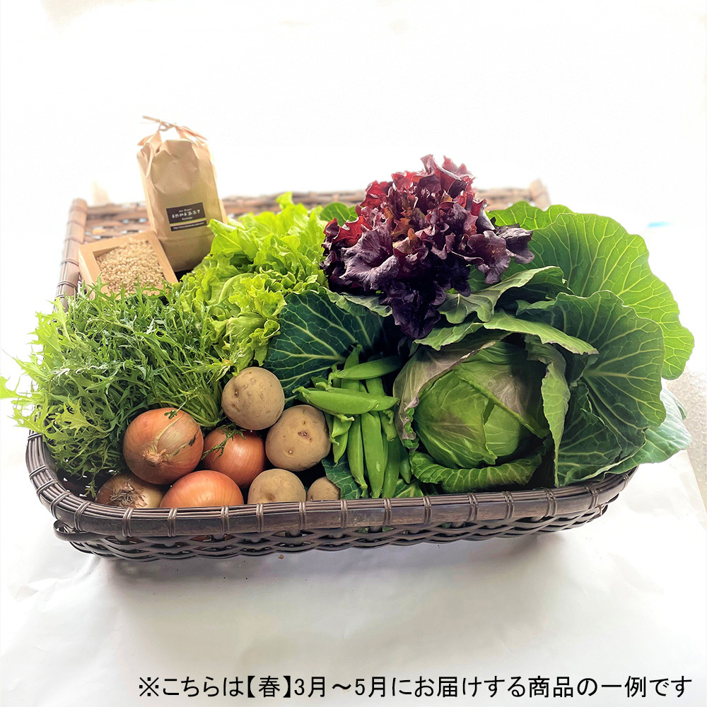 自然耕房あおき 自然そのままに育った野菜と天日干し米のギフト