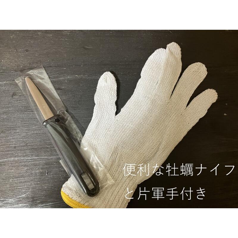 牡蠣のガンガン焼き　（冷凍）　（20個）(約2kg))（牡蠣ナイフ、片手用軍手付)）