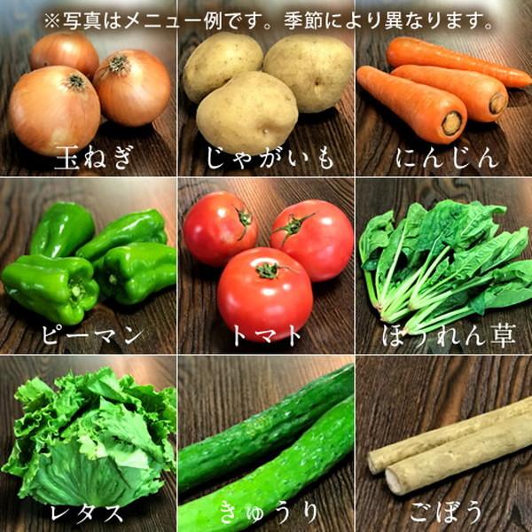 日本の有機野菜セット 旬のおまかせ9種類 全国ご当地生産者のこだわり有機栽培 ベジタブル スムージー 野菜材料 通販 人気［お歳暮 ギフト プレゼント］