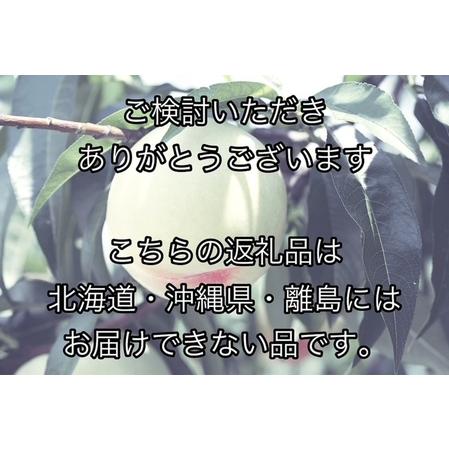 ふるさと納税 Gg-3白桃２回お届けコースA 岡山県和気町