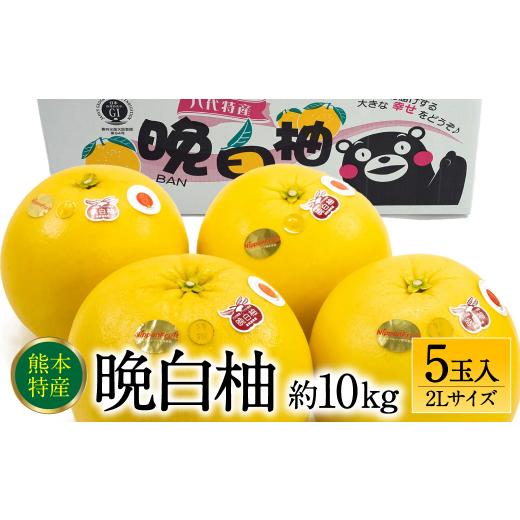 ふるさと納税 熊本県 八代市 晩白柚 2Lサイズ 10kg（約2kg×5玉)