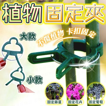 台灣出貨🔥植物固定夾 植物固定器 藤蔓夾 園藝夾 花夾 樹根固定夾 枝條夾 藤蔓固定夾 植物枝條固定 植物夾