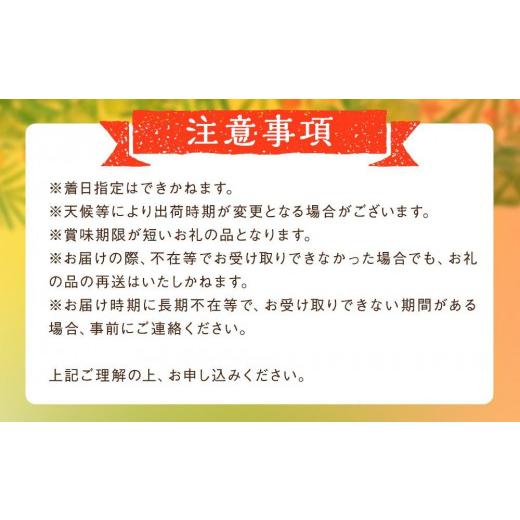 ふるさと納税 沖縄県 豊見城市 豊見城完熟アップルマンゴー（中玉4玉）