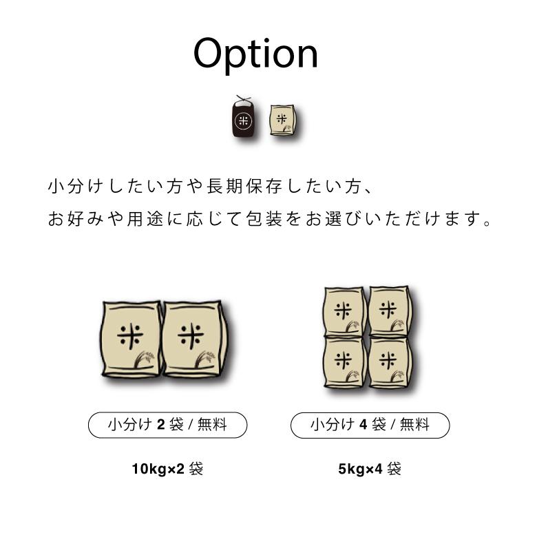 新米使用 米 お米 20kg ほほえみ 西日本産 オリジナル米 令和5年産米使用 精米20kg 訳あり米