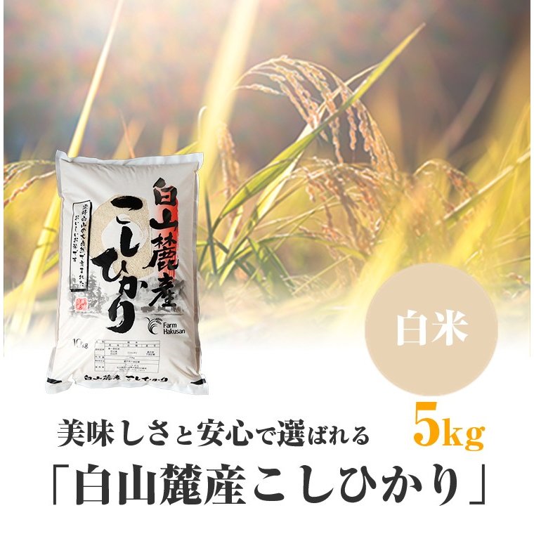 美味しさと安心で選ばれる「白山麓産こしひかり」 白米 5kg