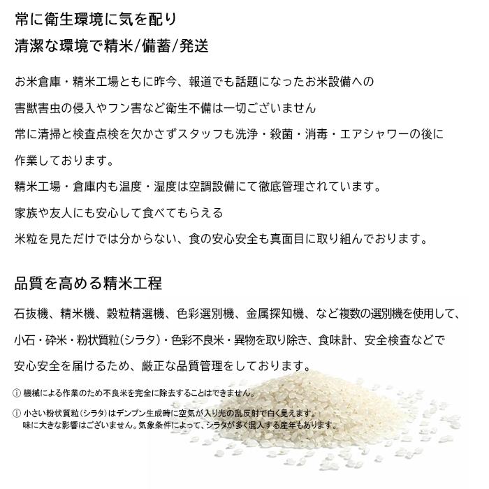 米25kg 米 お米 25kg コシヒカリ こしひかり 5kg×5袋 セット 送料無料 こめ 小分け 精米 つきたて米 宮崎県産