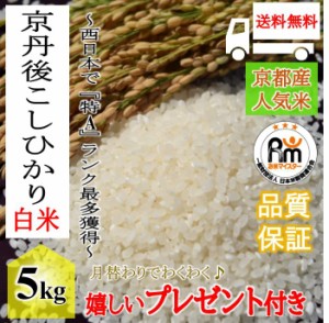 お米 令和4年産 ５kg 京都丹後産コシヒカリ  ５kg×１袋