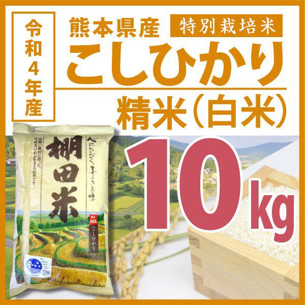 棚田米 令和5年産 熊本県こしひかり精米 10kg