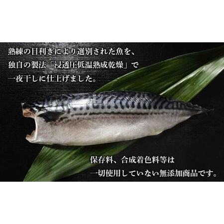 ふるさと納税 こだわり熟成干物詰め合わせ 千葉県銚子市