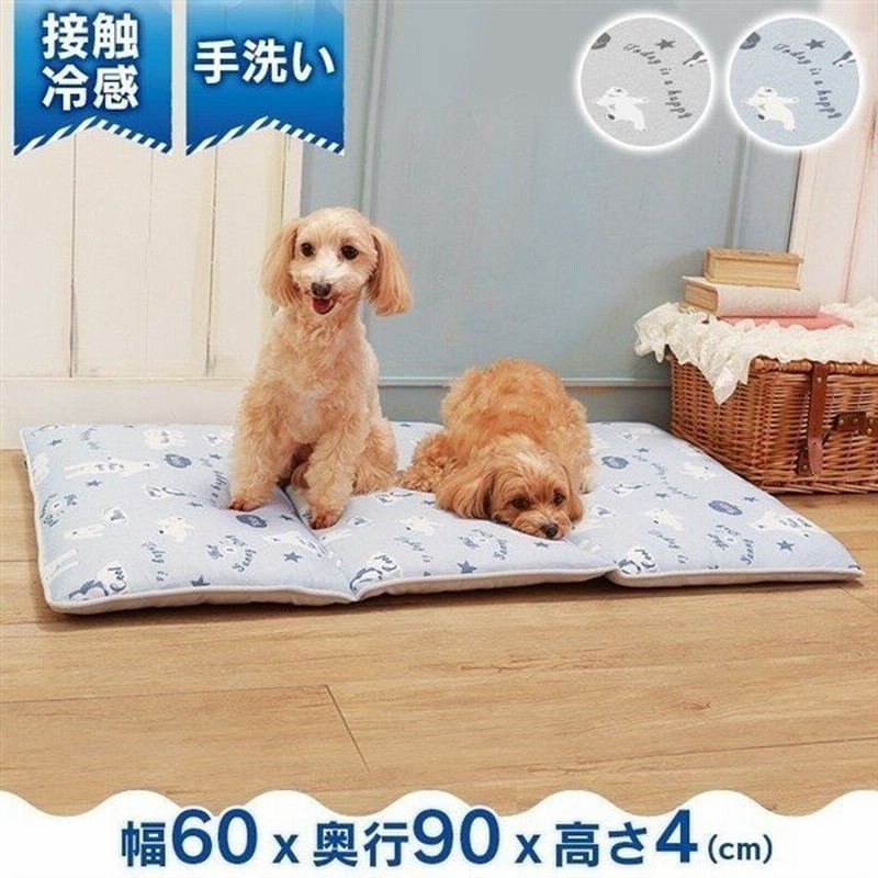 ペットべッド 夏用 犬ベッド 猫ベッド 犬用ベッド 猫用ベッド 接触冷感シロクマ柄 折り畳みクッション Ia 14 大阪杉本 D 通販 Lineポイント最大0 5 Get Lineショッピング
