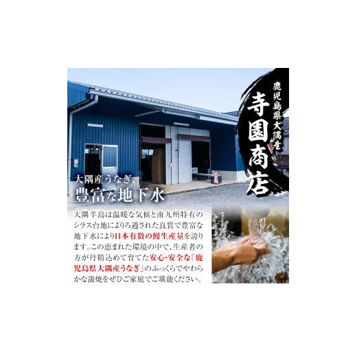 ふるさと納税 鹿児島県 鹿屋市 1877 大隅特産うなぎ蒲焼２尾（340ｇ）・白焼１尾（120ｇ）食べ比べセット