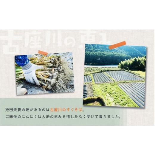 ふるさと納税 和歌山県 古座川町 ＼農薬不使用・化学肥料不使用／にんにく 1kg