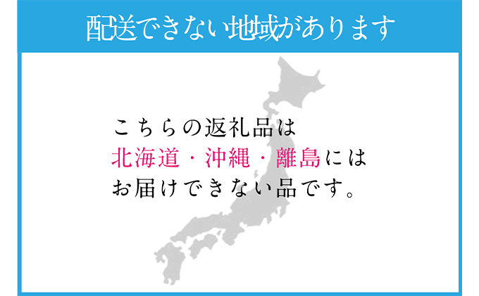 ぶどう 2024年 先行予約 シャイン マスカット 晴王 1房 約670g 晴れの国 おかやま 岡山県産 フルーツ王国 果物王国