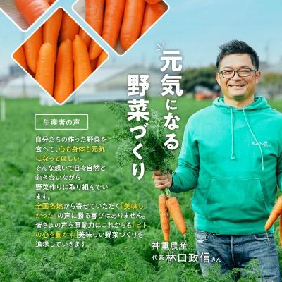 ふるさと納税 碧南市 訳あり!「マドンナキャロット」 3kg にんじん 野菜　H105-095