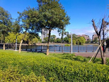 平鎮社子埤塘公園 【活巷景觀森活透天】方便停車｜桃園市平鎮區平東路