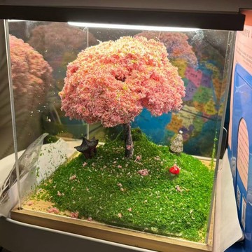 情侶手工禮物 diy禮物 苦情树手作diy 桃花树樱花树全套成品 送女友男友材料包 diy手作材料包 手作diy材料包