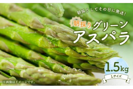 朝採り グリーンアスパラ L 1.3kg (2024年5月下旬発送予定)