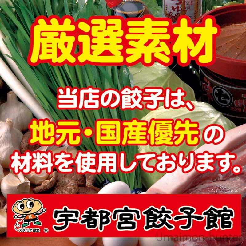 スタミナ健太餃子 8個入り×6パック 48個入り 宇都宮餃子館 栃木県 宇都宮 お取り寄せ 惣菜 冷凍