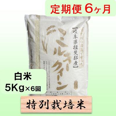 ふるさと納税 池田町 6ヶ月特別栽培米5kg(ミルキークイーン)全6回