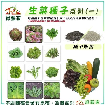 【綠藝家】新手生菜類種子系列一(各包裝數量詳見內文及圖片說明)水耕種子 水耕蔬菜 萵苣 羽衣甘藍 生機飲食