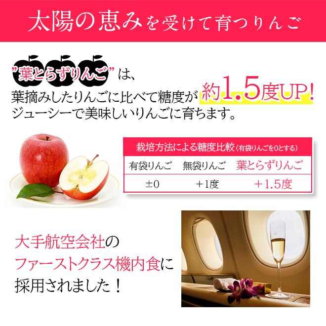 りんご サンふじ 王林 ミックス 葉とらず 10kg (28玉〜36玉入り) 訳あり 産地直送 青森県産 リンゴ 林檎 あまい 果物 くだもの フルーツ 11月下旬より発送