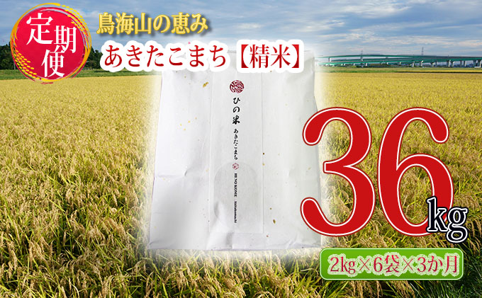 《定期便》12kg×3ヶ月 秋田県産 あきたこまち 精米 2kg×6袋 神宿る里の米「ひの米」（お米 小分け）