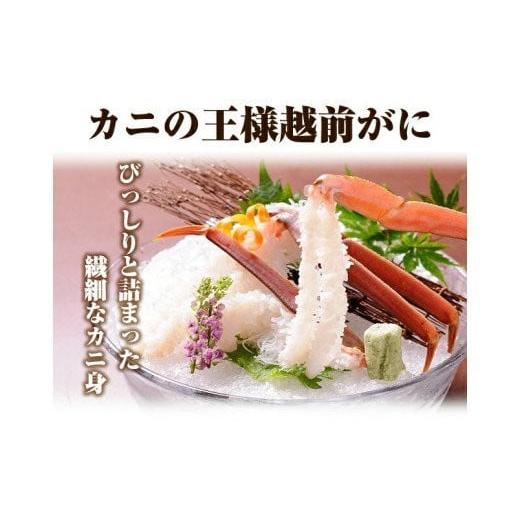 ふるさと納税 福井県 福井市 越前がに合計1kg以上（2-3杯）　2〜3人前 [J-029046]