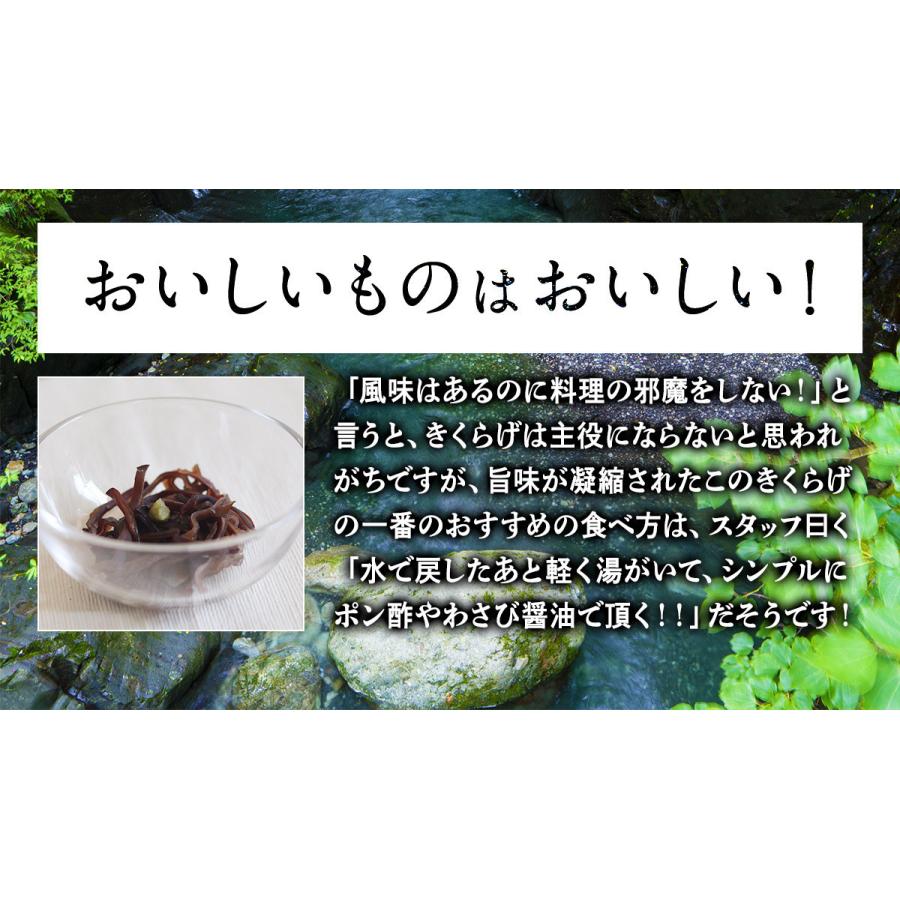 きくらげ 国産 業務用 黒300g 純国産きくらげ スライス 乾燥 キクラゲ 木耳 菌床栽培