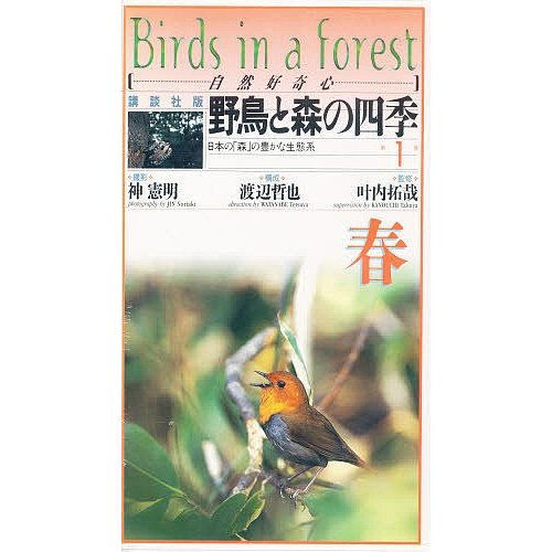 ビデオ 野鳥と森の四季 春の野鳥