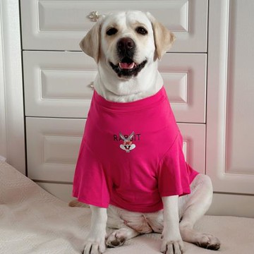 狗狗衣服大型犬夏潮牌拉布拉多金毛薄款衣服防掉毛狗狗夏季衣服