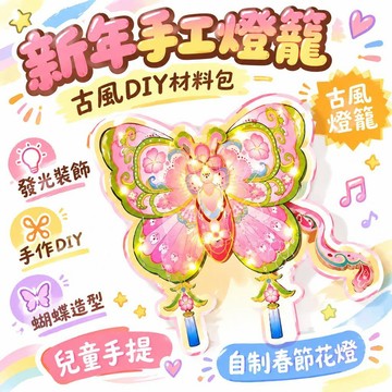 🚢夯爆了💣 春節古風燈籠 DIY材料包 兒童手提蝴蝶花燈 發光手工裝飾 過年親子手作