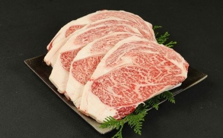 A5 博多和牛 サーロイン ステーキ 200g×5枚 合計1kg 和牛 お肉