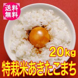 送料無料(北海道・九州・沖縄除く)令和5年産 新米 こだわり！特別栽培米秋田県仙北産あきたこまち20kg