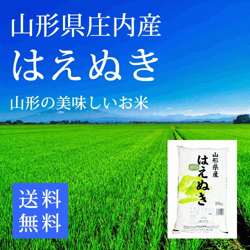 新米 はえぬき 山形県庄内産 精米１０ｋg 送料無料 令和5年産 お米 コメ