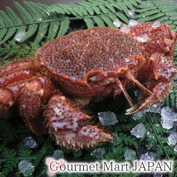 毛がに 500g 1尾 かにのマルマサ お取り寄せ グルメ お歳暮 年末年始 お正月