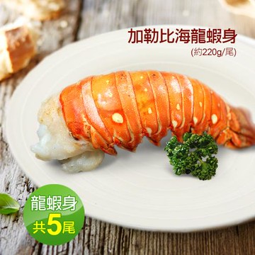 築地一番鮮-8盎司｜加勒比海｜龍蝦身220g｜5尾 免運組