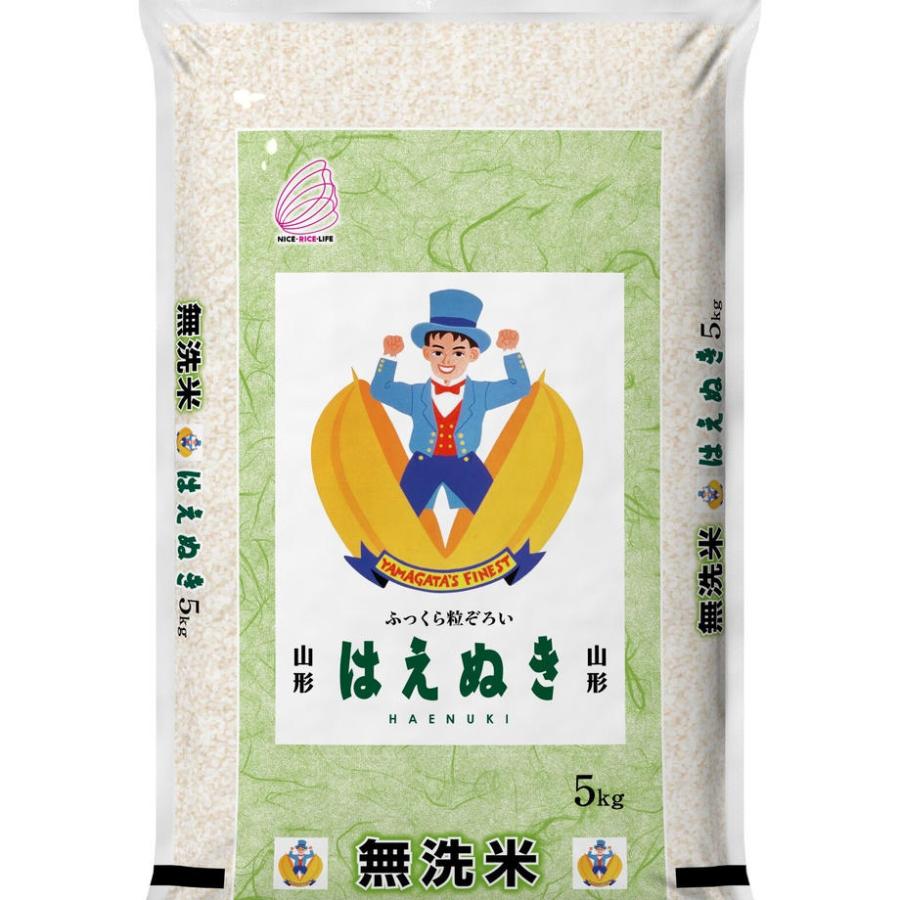 はえぬき　BG無洗米　10kg 5kg x 2袋 )〈送料込み〉