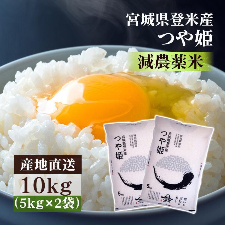 つや姫 10kg お米 10kg 米 送料無料 白米 ごはん 令和5年産 5kg×2袋 減農薬米 宮城県産 安い おいしい ご飯 うるち 精白米