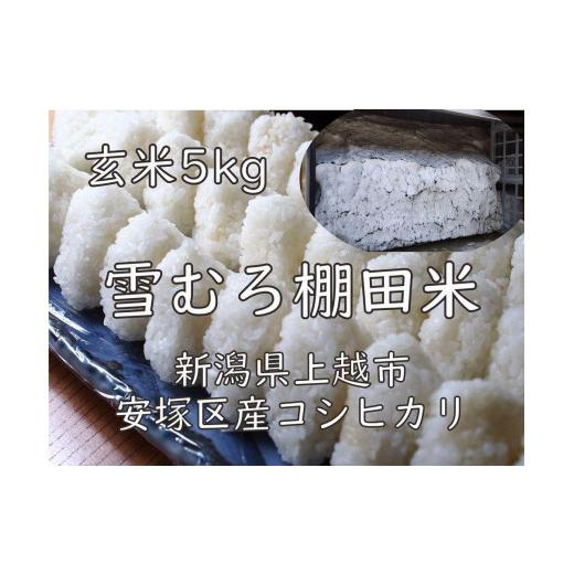 ふるさと納税 新潟県 上越市 雪むろ棚田米コシヒカリ5kg玄米