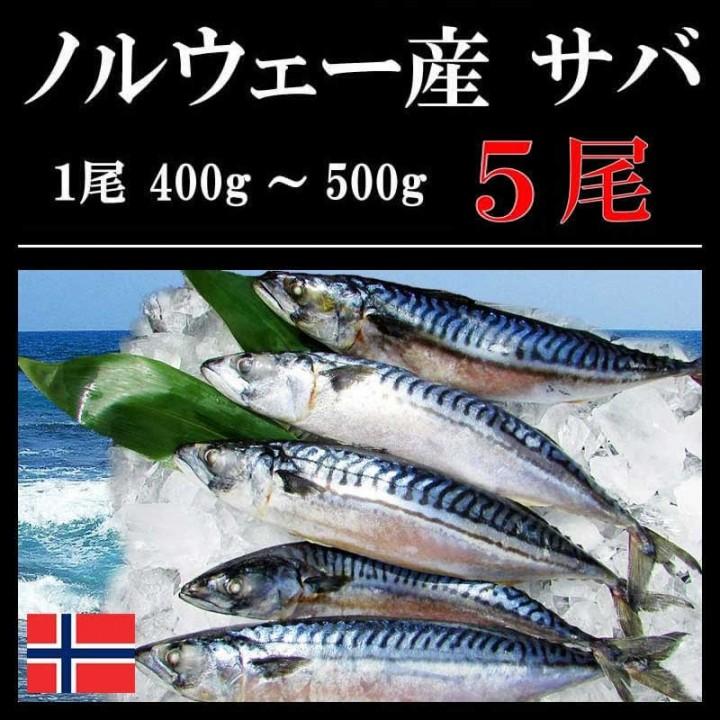 無塩 サバ一本物 5尾（ノルウェー産）冷凍