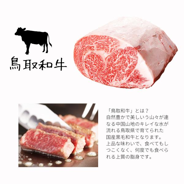 ギフト 鳥取和牛 （黒毛和牛肉） 鳥取県産 サーロイン ロースブロック肉 ３キロブロック 送料無料